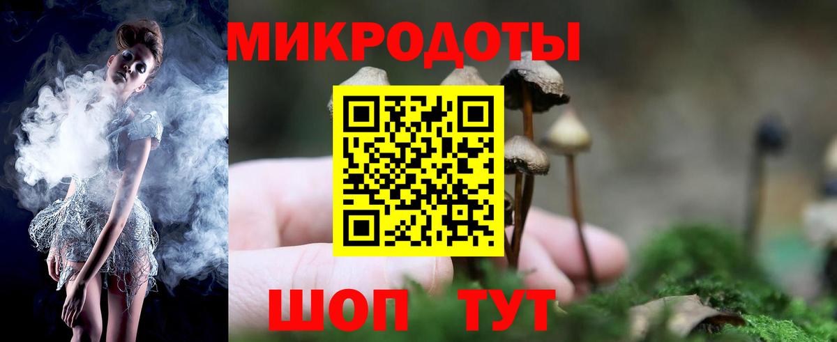 Александров  Псилоцибиновые грибы Psilocybine cubensis  Вход с VPN 